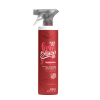 Vinagre de Framboesa Professional 300ml